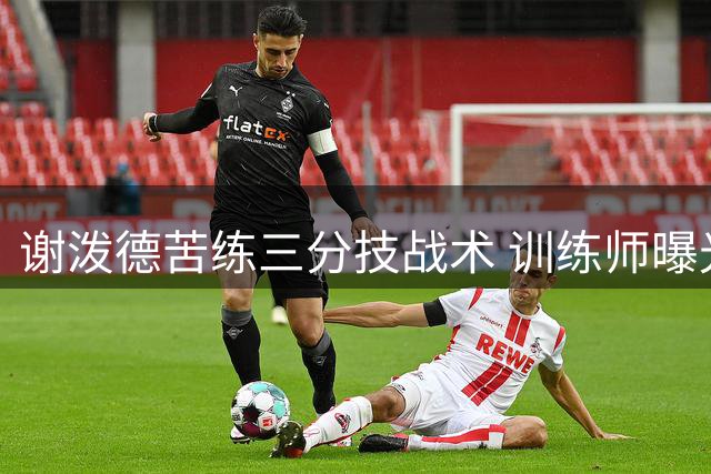 谢泼德苦练三分技战术 训练师曝光其夏季特训计划